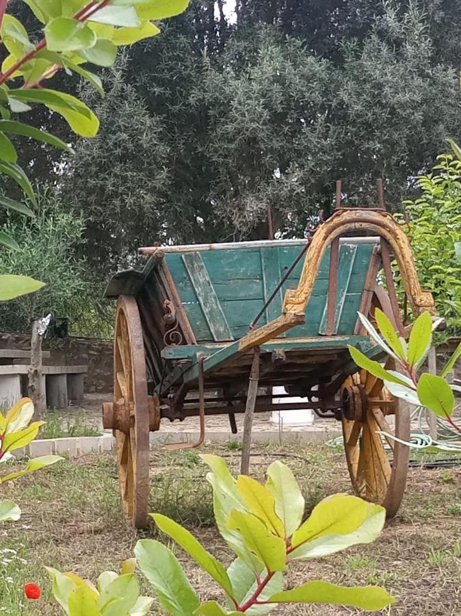 Malhao  Monte Papa Figos 빌라 외부 사진